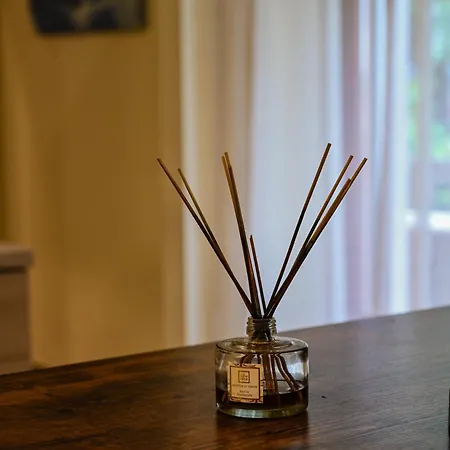 Forever Sunrise شقة