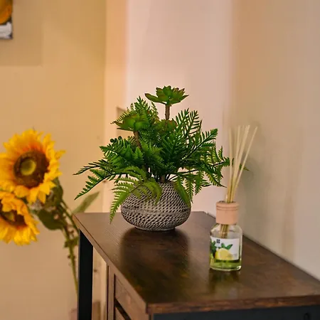 Forever Sunrise Apartmán Alba (Piedmont)